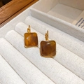 Close-up of vintage amber resin U-shaped earrings in a gold frame on velvet padding - 37# Silver Pin-Gold-Brown-Square Amber
