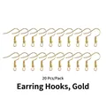 20pcs of gold-plated fish hook earrings with decorative coils for DIY jewelry making - Gold / Gold Earring Hooks 20Pcs