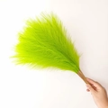 Single 55cm artificial pampas grass stalk in vibrant neon green with wooden handle - 53-55cm / Fluorescent Green
