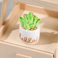 Miniature green succulent with red edges in a white Hello pot on a wooden shelf - No. 4 Hello Lettering Pot Succulent