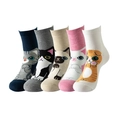 Set of five pairs of colorful cotton socks featuring cartoon cat patterns for women - Cat Crew Style (9006)