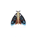 C1892-5 Colorful Decorative Moth