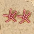 Exaggerated gold starfish earrings with pink and red rhinestones on a sandy beach - Rose Red Medium KC Gold Starfish Style (WEH5247)