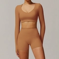 Ensemble haut court manches longues et short de yoga taille haute en marron terreux - S / Manches Longues + Shorts / Orange Citrouille