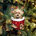 Weihnachtshund-Anhänger mit Welpen in roter Socke und Rentier-Geweih-Deko - Brauner Hund Typ 2