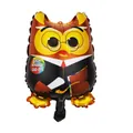 Mini ballon chouette de remise de diplôme 43x28cm avec texte Look Whooo Did It - Mini Ballon Hibou de Remise de Diplôme