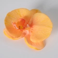 Artificial phalaenopsis orchid flower head in vibrant orange yellow for DIY crafts - Silk Light Orange (Large)
