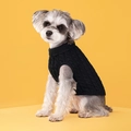 Classic black cable-knit dog sweater with high neck design for winter warmth - Black