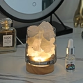 Crystal stone aroma diffuser with wooden light base and white crystals set - White Crystal + LED Base + 10ml Oil