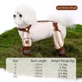 Waterproof dog winter jumpsuit size chart in brown and beige stripes for small dogs - L / Brown Striped (Spring/Summer Style)