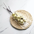 A bundle of natural white dried cotton flower stalks packaged in clear plastic wrapping - Light Yellow
