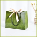 Green damask pattern paper gift bag with black rope handles and a beige silk bow accent - Small (18x16x10cm) / Green (Gold Ribbon)