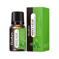 Olio essenziale alla menta da 10ml per umidificatori in scatola regalo verde - Menta piperita / 10ml