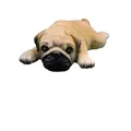 Lying Pug Dog