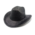 Close-up of black fedora cowboy hat with fine textured fiber material and wide brim - Black