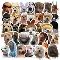 Set di adesivi realistici e divertenti con cani Golden Retriever e Shiba Inu - Cane Realistico - Stile di Vendita Popolare (50 Pezzi)