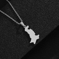 Detailed close-up of a silver-toned Pakistan map outline pendant on a delicate chain necklace - Polished Smooth Style / Steel