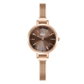 Reloj Gedi de malla en oro rosa con esfera marrón y marcadores de hora minimalistas - Oro Rosa / Esfera Café