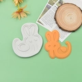 Nahaufnahme der Hasen-Silikonform für DIY-Kuchenbacken und Fondant-Handwerkzeuge - Groß