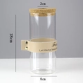 Hydroponic glass vase with cork lid, leather strap detail, and size measurements 18x8cm - Cylinder (8*18cm) with Beige Strap