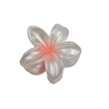 Pink gradient plumeria hair claw clip made of matte translucent resin for women - Pearly Frangipani / Orange