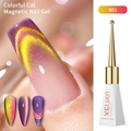Colorful cat magnetic nail gel in shade 001 with UV/LED gloss finish for manicure - Dual Light Firework Cat Eye 01