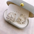 Elegant S925 silver needle firework stud earrings with silver rhinestones on a display box - Silver