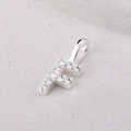 Sterling silver F letter pendant with shimmering cubic zirconia on concrete - Letter F / Gold