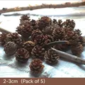 Piñas naturales para cajas de Navidad, tamaño 2-3cm en marrón oscuro, pack de 5 uds - Piñas Naturales Pack de 5 Tamaño Pequeño / 12*12*12cm