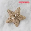 Champagne gold glitter star ornament with silver hanging string, size 15x14cm for Christmas - Gold Glitter Star Hanging Ornament