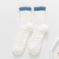 Plush fuzzy coral fleece floor socks for women, warm winter sleep socks with blue cuffs. - One Size (35-42) / White