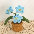Handgefertigte Häkel-Blume im Topf in Blau mit gelber Mitte und grünen Blättern - Vergissmeinnicht / Blau
