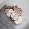 Dettaglio molletta per capelli a fiori color crema con strass viola brillanti - 7cm / Bianco Sporco