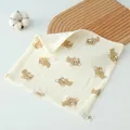 25x25cm / Naughty Bear