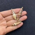 Three natural spiral seashell pendants with gold plating held in hand for DIY jewelry - No.29 (Beige/Reddish Brown Conch - Gilded)