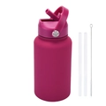 Insulated 650ml rose red matte water bottle set with handle lid, straws and cleaning brush - Fuschia