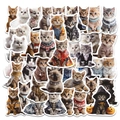 50 cute cartoon cat stickers with various outfits for notebook and luggage decoration - Cat Graffiti (OPQ216)