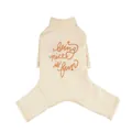 Beige cotton dog bodysuit with being nice is fun print for small dogs - S / Creamy White