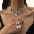 Luxuriöses Brautschmuck-Set mit silberner Blumenhalskette und Zirkonia-Ohrringen an Model - DTN14026931S-Silber Elegantes Set