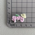 Détail macro d'une breloque Spring en résine rose de 2,5cm pour accessoires DIY - 07*Texte SPRING