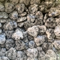 Detailed top view of heart-shaped polished granite stones with black and white spots - Granite