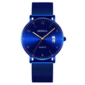 Men's blue quartz watch with luminous dial, golden numbers and mesh metal strap - Blue Dial Gold Hands Blue Case Blue Mesh Strap