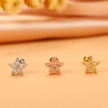 Vista macro dettagliata degli orecchini a stella in finiture argento, oro rosa e oro - 1# (Stella a Cinque Punte) / Argento