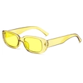 Fashionable retro cat-eye sunglasses with transparent yellow frame and matching lenses - Clear Yellow