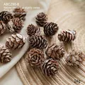 Set of 12 natural brown pine cones for Christmas decor on rustic linen background - White Mini Pinecones/12pcs
