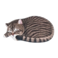 Nonslip 3D sleeping brown tabby cat shaped bathroom mat with water absorbent texture - 66x125CM / Tabby Cat
