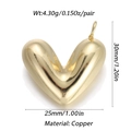 Dettaglio del ciondolo a cuore con dimensioni di 30mm di altezza e 25mm di larghezza su bianco - Ysn024-1 / Oro 18K