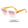 Square sunglasses with transparent frame, pink gradient lenses and leopard print temples - Transparent Frame Gradient Pink Lens