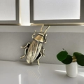 Dettaglio di un insetto decorativo in ottone con finitura in metallo spazzolato antico - Scarafaggio