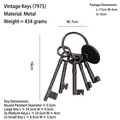 Vintage iron decorative key set with five keys and ring on white background - 7975 Five Keys with Ring and Tag